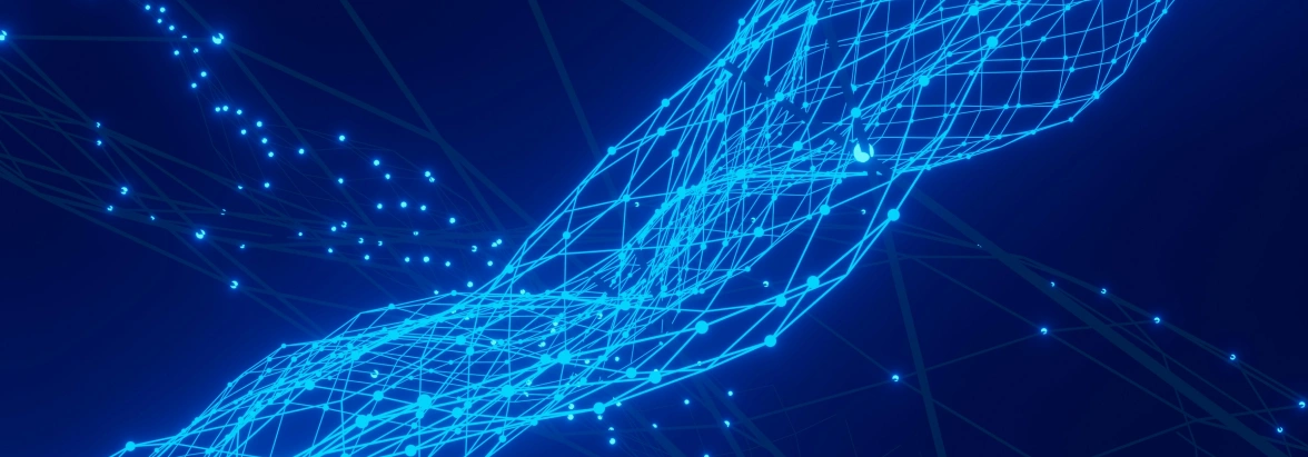 A digital representation of a dense network