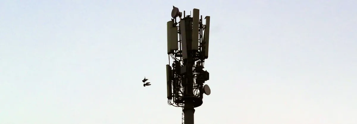 A mobile network tower, with clear sky background and birds flying past.