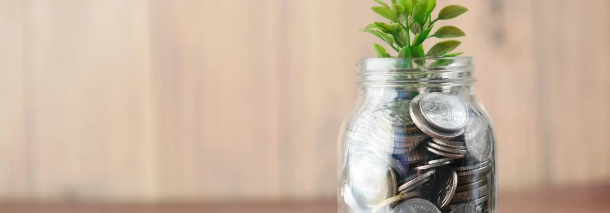 A plant grows from a jar of coins