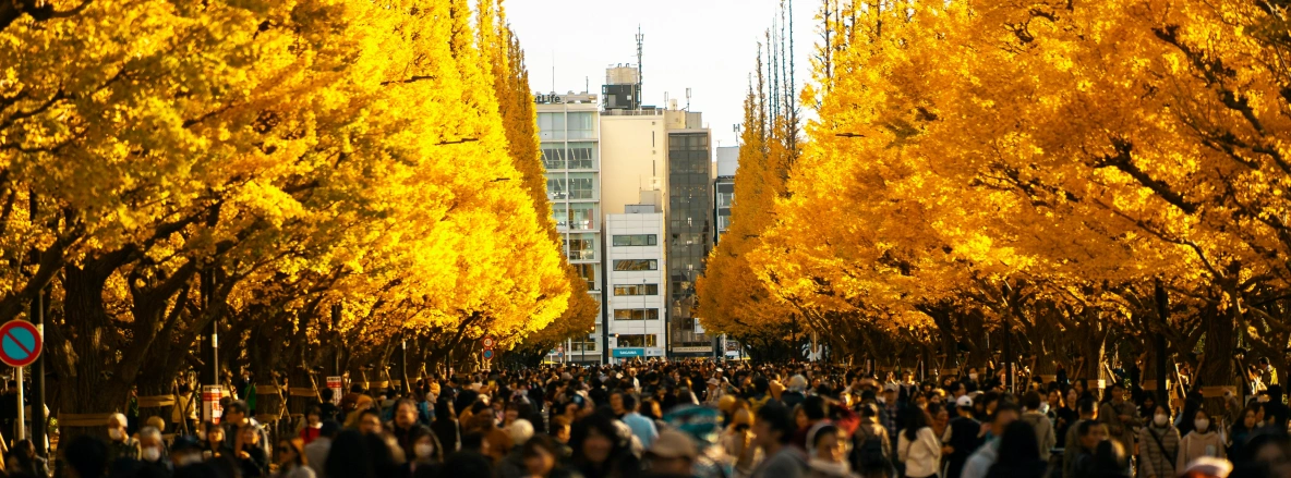 A crowd moves along a tree lined street