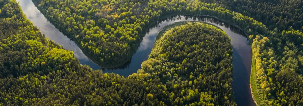 Aerial view of a river winding through a forest - protecting these spaces is a key objective of the CSRD